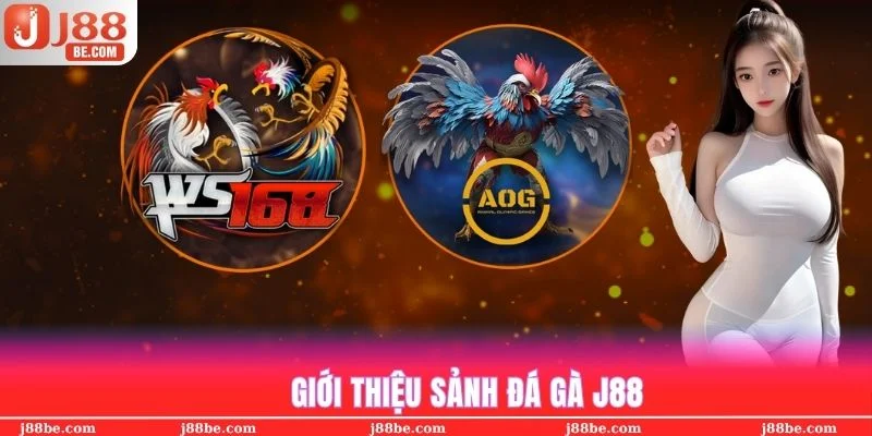 Giới thiệu sảnh đá gà J88